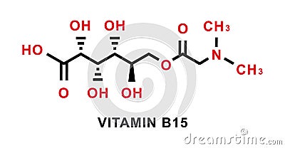 Vitamin B15 chemical formula. Vitamin B15 chemical molecular structure. Vector illustration Vector Illustration