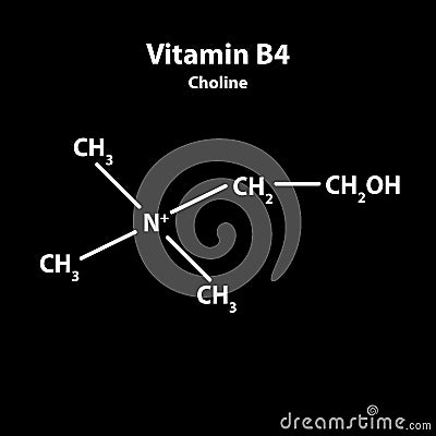 Vitamin B4. Choline Molecular chemical formula. Infographics. Vector illustration on black background Vector Illustration