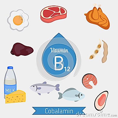 Vitamin B12 or Cobalamin infographic Vector Illustration