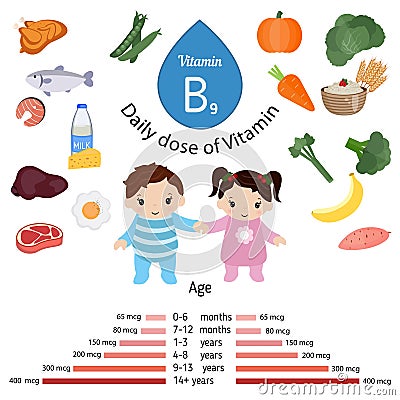 Vitamin B9 or folic acid infographic Vector Illustration