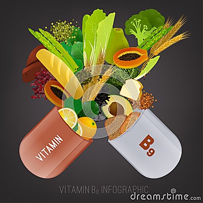 Vitamin B9 in Food Vector Illustration