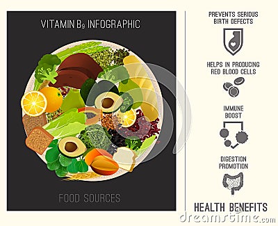 Vitamin B9 in Food Vector Illustration