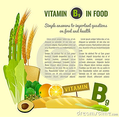 Vitamin B9 in Food Vector Illustration