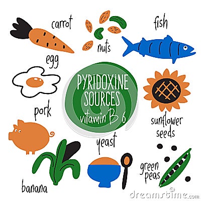 Vitamin B 6 food sources,pyridoxine. Vector cartoon illustration. Vector Illustration