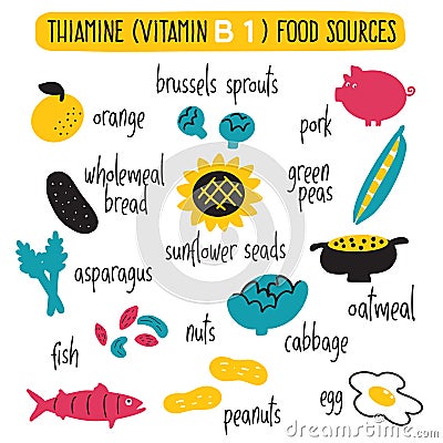 Vitamin B 1 food sources, thiamine. Vector cartoon illustration. Vector Illustration