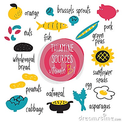 Vitamin B 1 food sources, thiamine. Vector cartoon illustration. Health eating concept. Vector Illustration