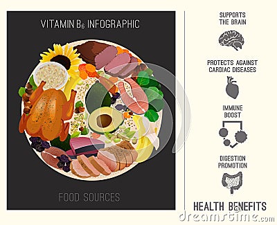 Vitamin B6 Foods Vector Illustration