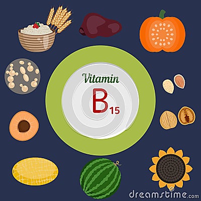 Vitamin B15 infographic Vector Illustration