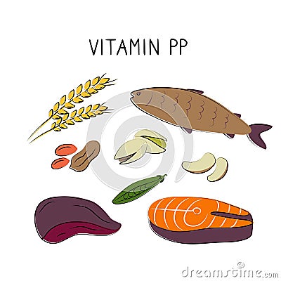 Vitamin B3 Niacinamide Vitamin PP niacin Nicotinamide. Groups of healthy products containing vitamins. Set of fruits Vector Illustration