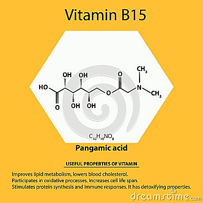 Vitamin B15. Pangamic acid Molecular chemical formula. Useful properties of vitamin. Infographics. Vector illustration Vector Illustration