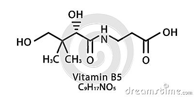 Vitamin B5 Pantothenic molecular structure. Vitamin B5 Pantothenic skeletal chemical formula. Chemical molecular Vector Illustration