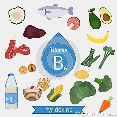 Vitamin B6 or Pyridoxine infographic Vector Illustration