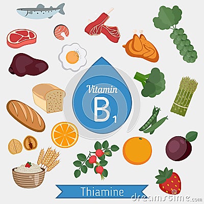 Vitamin B1 or Thiamin infographic Vector Illustration