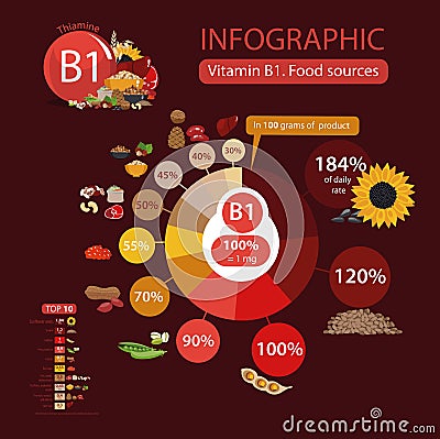 Vitamin B1 thiamine. A pie chart of food with the highest content of a microelement Vector Illustration