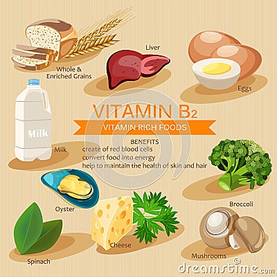 Vitamin B2. Vitamins and minerals foods. Vector flat icons graphic design. Banner header illustration. Vector Illustration