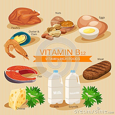 Vitamin B12. Vitamins and minerals foods. Vector flat icons graphic design. Banner header illustration. Vector Illustration