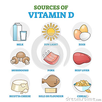 Vitamin D sources in food as healthy, natural intake method outline diagram Vector Illustration