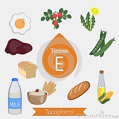 Vitamin E or Tocopherol infographic Vector Illustration