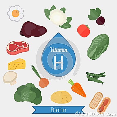 Vitamin H or Biotin infographic Vector Illustration