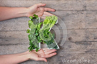 Vitamin K nutrient in food concept. Woman`s hands holding letter K shaped plate with different fresh leafy green vegetables, herb Stock Photo
