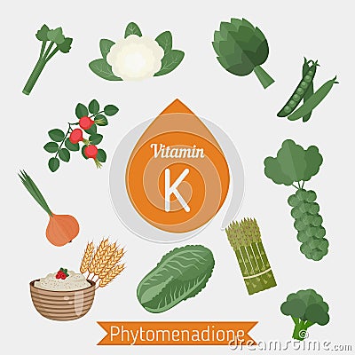 Vitamin K or Phylloquinone infographic Vector Illustration