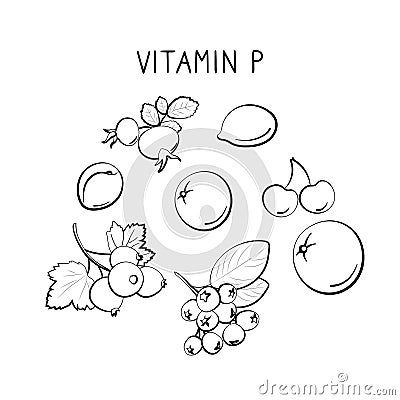 Vitamin P bioflavonoids. Groups of healthy products containing vitamins and minerals. Set of fruits, vegetables, meats Vector Illustration