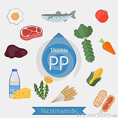 Vitamin PP or Nicotinamide infographic Vector Illustration