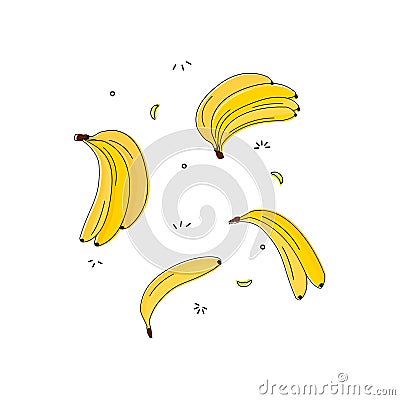 Vitamin tasty bananas pattern. Tropical food vegetarian organic background. Exotic banana drawing. Yummy beach summer Vector Illustration
