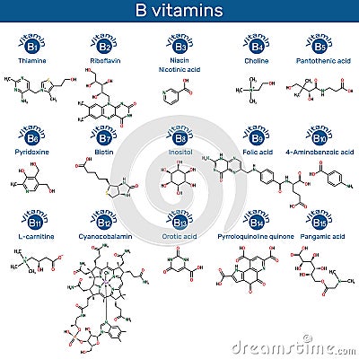 Vitamins of B group molecule. Thiamine, riboflavin, niacin, nicotinic acid, choline, pyridoxine, biotin, inositol, folic acid, Vector Illustration
