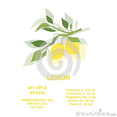 Vitamins, minerals and calorie content. Information about nutrition facts lemon fruit. Conceptual healthy nutrition card Vector Illustration