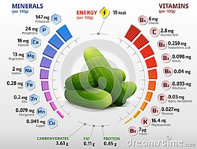 Vitamins and minerals of cucumber fruit Vector Illustration