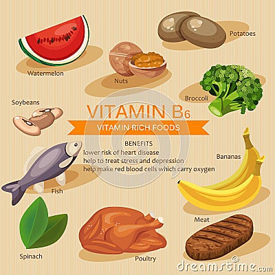 Vitamins and Minerals foods Illustration. Vector set of vitamin rich foods. Vitamin B6. Bananas, spinach, meat, nuts, poultry Vector Illustration