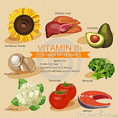 Vitamins and Minerals foods Illustration. Vector set of vitamin rich foods. Vitamin B5. Broccoli, chicken liver, avocado, sunflowe Vector Illustration