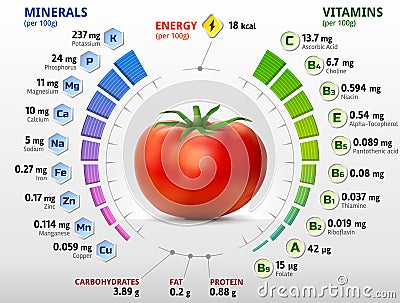 Vitamins and minerals of tomato Vector Illustration