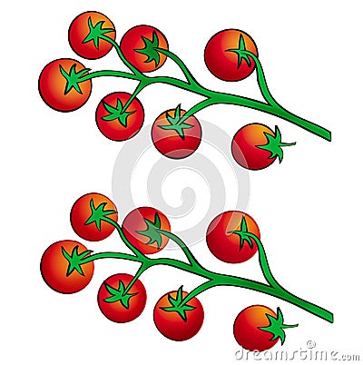 Vite tomato Vector Illustration