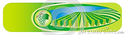 Viticulture banners Vector Illustration
