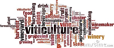 Viticulture word cloud Vector Illustration