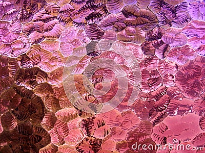 Vitreous and cold pink Stock Photo