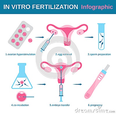 In vitro Vector Illustration