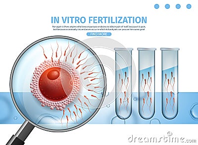 Sperm Cells Flowing to Egg Trough Magnifier View Vector Illustration