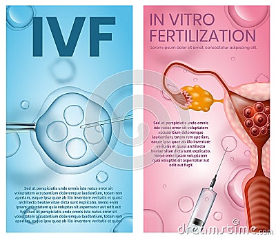 Eggs Fertilised in Lab and Implanted Into Uterus Vector Illustration