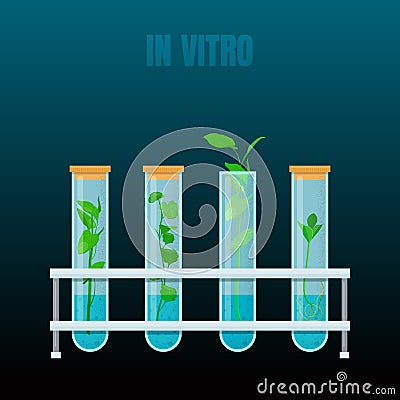 In vitro plant tissue culture Vector Illustration