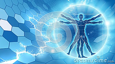 Vitruvian Man Hexagon Background Vector Illustration