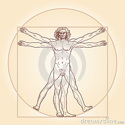 The Vitruvian Man (Homo vitruviano). Vector Illustration