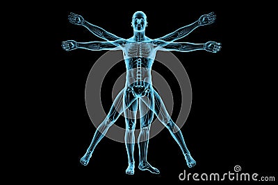 Vitruvian man Stock Photo