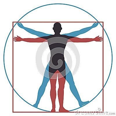 Vitruvian man. Leonardo da vinci human body perfect anatomy proportions in circle and square. Vector silhouette Vector Illustration