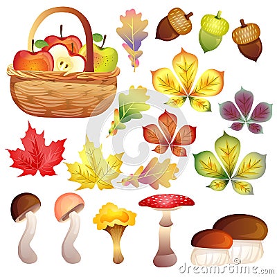 Vivid autumn element set Vector Illustration