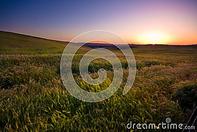 Vivid Sunset Stock Photo