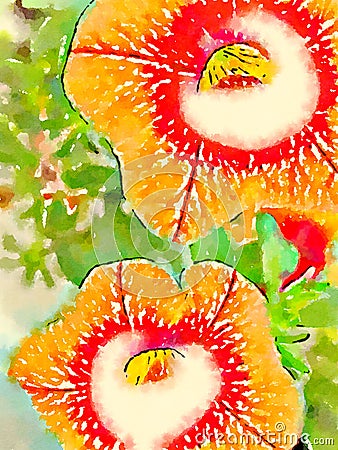 Vivid Watercolor and Ink Flower Art Stock Photo