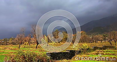 Vivid scenic colours of terrace farming in remote Indian Himalayan mountains Stock Photo